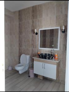 a bathroom with a toilet and a sink and a mirror at Henchir ejdoud in Kairouan