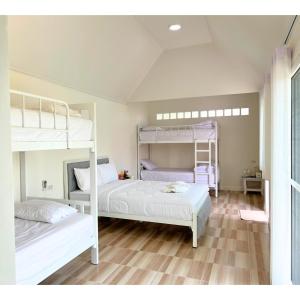 Ban Pa Lau的住宿－Quality Time Farmstay: YardHouse#5，铺有木地板的客房内配有两张双层床。