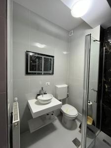 a bathroom with a toilet and a sink and a shower at Chalet 173 in Gura Humorului