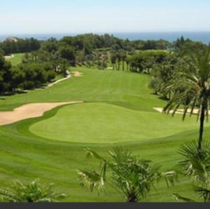 a view of a golf course with palm trees at Ático in Málaga