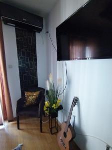 a living room with a guitar and a couch at BG apartman in Vrnjačka Banja