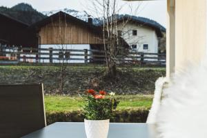 Zahrada ubytování Ferienwohnung Schönblick