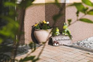 Zahrada ubytování Ferienwohnung Schönblick
