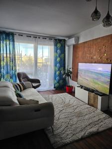 マルセイユにあるJoli appartementのソファと薄型テレビのあるリビングルーム