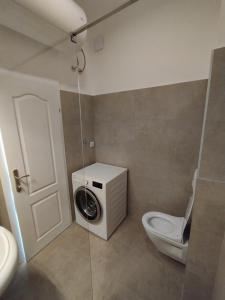 a bathroom with a washing machine and a toilet at Bela Vila in Banja Koviljača