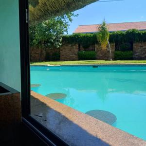 Bazén v ubytování Rustenburg Palm Lodge nebo v jeho okolí