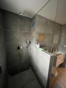 a bathroom with a shower and a sink at Gray&Wood in Prievidza