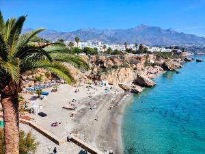 a beach with a palm tree and people on it at Renovated apartment on beachside with pool in Nerja