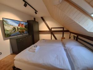 1 dormitorio con 1 cama y TV de pantalla plana en Residence Stálkov Česká Kanada, en Slavonice