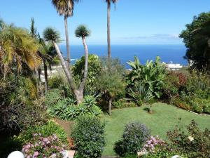 un jardín con palmeras y vistas al océano en Casa Pedro in the Finca Angel, en Santa Úrsula