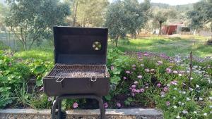 a grill with a laptop on it in a garden at Kardelen Camping in Mugla