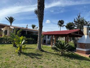 a house with a palm tree in the yard at Casa vacanze Sant'Antioco in SantʼAntìoco