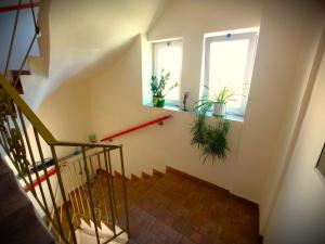a staircase with two windows and potted plants at Tasos Seagull apartments in Chania