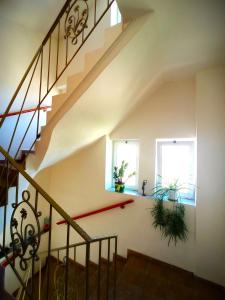 klatka schodowa w domu z dwoma oknami i roślinami w obiekcie Tasos Seagull apartments w Chanii
