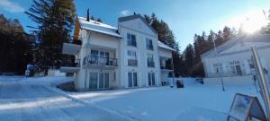 Deluxe Apartment Lipno - Lake Side Village, Frymburk nad Vltavou v zime