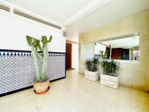 a room with a cactus and a mirror at Seafront apartment in La Garrofa near the beach in La Garrofa