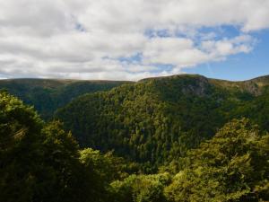 a view of a forest of trees in the mountains at Holiday Home in Auvergne with Roofed Garden and Terrace in Calvinet