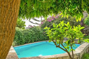 una piscina blu in un giardino con un albero di Holiday home in Malpais de Candelaria with a terrace a Bence