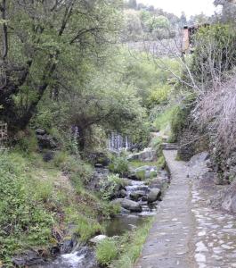 a stream with a path next to a river at Casa Rural La Ortiga in Robledillo de Gata