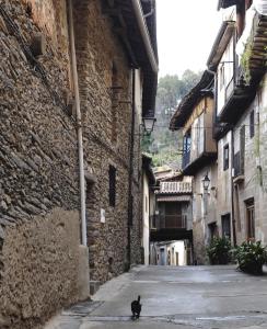 Domácí mazlíčci ubytovaní s hosty v ubytování Casa Rural La Ortiga