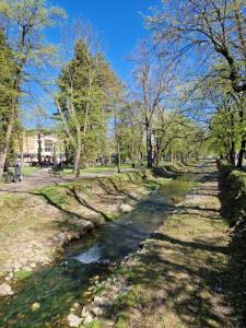 um caminho num parque com um rio em Apartman Merkur em Vrnjačka Banja