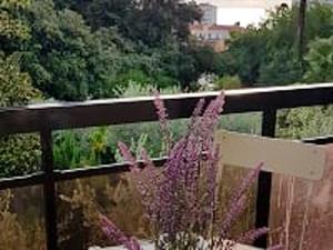 Appartement confortable a Nice 25 m² avec piscine partagee