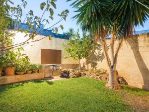 un jardin avec un palmier et une télévision dans l'établissement Can Gual - Villa With Private Pool In Inca Free Wifi, à Inca