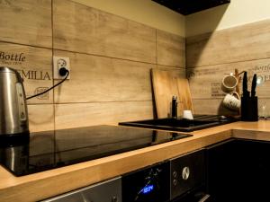 a kitchen with a stove and a counter top at Sopot Apartament in Sopot