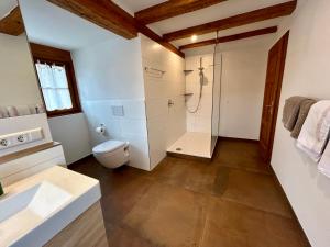 a bathroom with a shower and a toilet at Ferienwohnung Hornauer in Salem