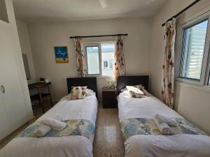 a bedroom with two twin beds with pillows on them at Ammos Beachfront Villa Paradise in Larnaca