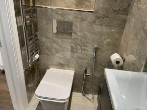La salle de bains est pourvue de toilettes, d'une douche et d'un lavabo. dans l'établissement Cosy Studio in Heart of London, à Londres