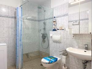 a bathroom with a shower and a toilet and a sink at Achtern Diek 12c - Wohnung 3 in Müggenburg