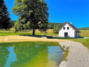 a house and a pond in front of a house at Chalupa Julia Staré Hutě in Horní Stropnice