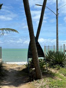 um banco sentado ao lado de uma palmeira na praia em Apto praia ponta de campina em Cabedelo