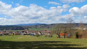 a village with a green field and mountains in the background at Ferienwohnung Rebekka in Riedlingsdorf