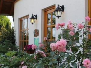 a bunch of pink flowers in front of a building at Comfortable holiday home with 2 bathrooms in the Bruchttal in Bredenborn