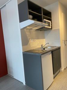 a small kitchen with a sink and a counter at ART'CAMPUS PLAINE IMAGES in Roubaix