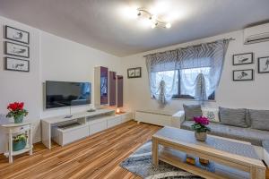 TV a/nebo společenská místnost v ubytování Apartments Suki