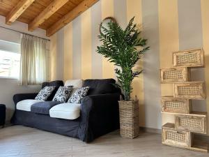 a black couch in a living room with a plant at Menaggio Down Town in Menaggio