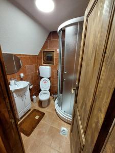 a small bathroom with a toilet and a shower at Sicevacka Bajka in Niš