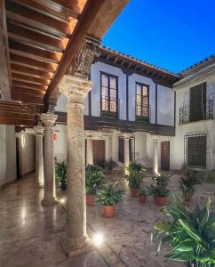 einen großen Innenhof mit Säulen und Topfpflanzen in der Unterkunft Hotel QB Almagro Centro in Almagro