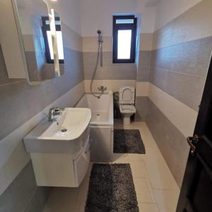 La salle de bains est pourvue d'un lavabo et de toilettes. dans l'établissement Sweet Home Iasi Airport 2, à Iaşi