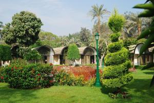 Zahrada ubytování JAZ Pyramids Resort