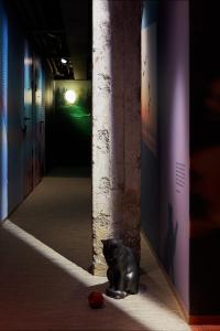 a black cat sitting in the middle of a hallway at Zzz Dreamscape Hotel in Stockholm