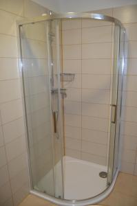 y baño con ducha y puerta de cristal. en Penzion Ubytování Květinová, en Křelov