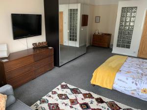 a bedroom with a bed and a flat screen tv at Ocean view double with ensuite, with access to private garden and bike store in Kent