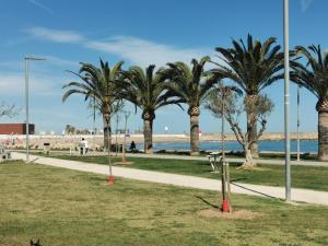 un parque con palmeras junto a una playa en Benicarlo Puerto, en Benicarló