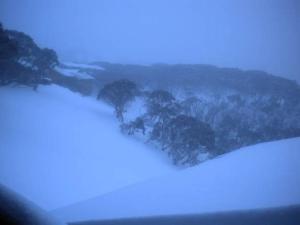 a foggy field with trees in the background at Shamrock Apartment 9 - Mount Hotham in Mount Hotham +4 photos