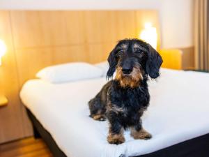 Letto o letti in una camera di ibis Antwerpen Centrum