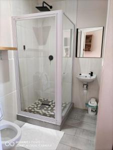 a bathroom with a shower with a toilet and a sink at HEBA GUEST LODGE in Uitenhage